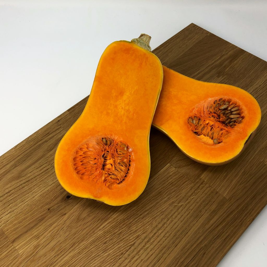 Butternut-Kürbis Waltham Samen - Cucurbita moschata - Produktbild 5
