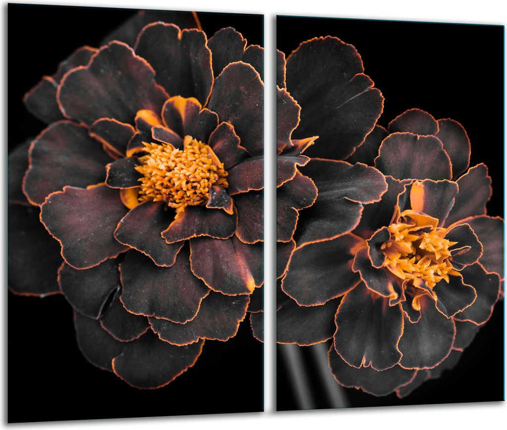 Herdabdeckplatten 2 teilig 30x52 Glaskeramikkochfeld Abdeckung Glas Blumen