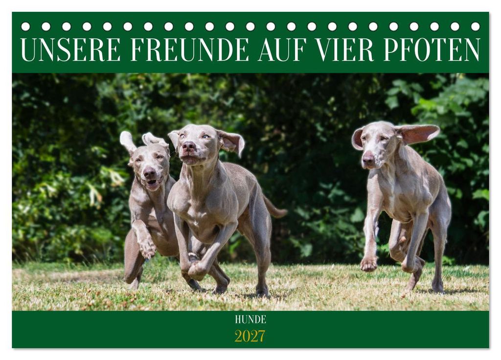 Unsere Freunde auf vier Pfoten - Hunde (Tischkalender 2027 DIN A5 quer), CALVENDO Monatskalender