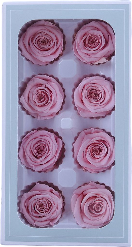 Stück konservierte Rosen, Schönheit, lichtecht, realistisch, ewiges Blumenarrangement, Geschenk für die Dekoration von Home Party