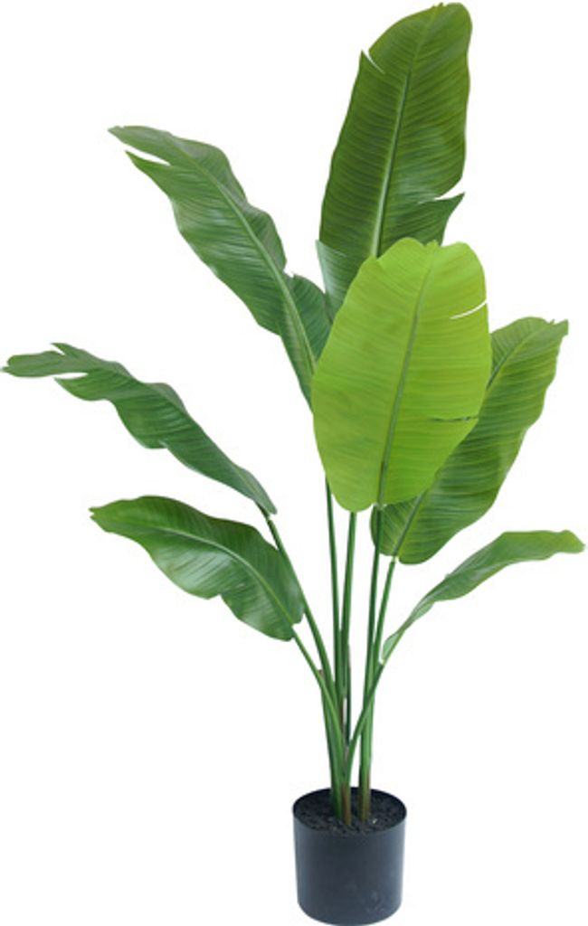 Künstliche Pflanze Strelitzia Nicolai 120 cm