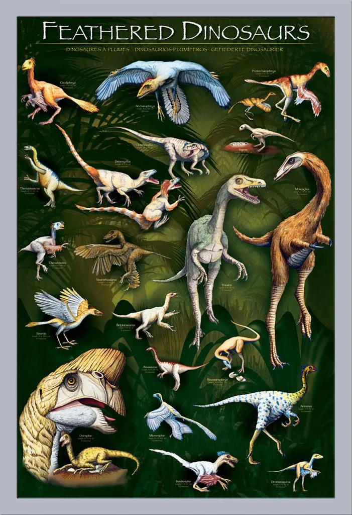 Poster Educativo Dinosauri Piumati Cornice Argento Shinsuke MDF