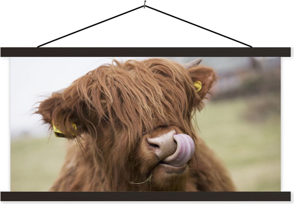 MuchoWow Textilposter Schottisches Hochlandrind - Braun - Tiere 120x60 cm mit schwarzem Rahmen - Dekoration Schlafzimmer