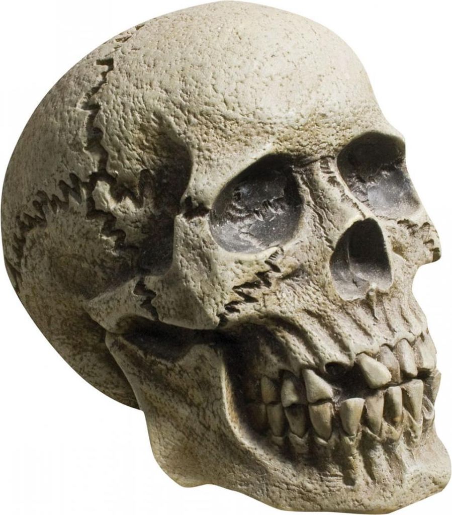 Skull Schädel grau-schwarz für realistische Halloween Grusel Dekoration Außen & Innen