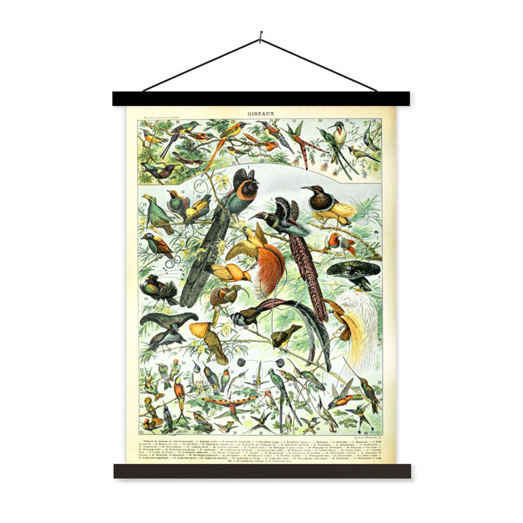 MuchoWow Textilposter Vögel - Tier - Natur 120x160 cm mit schwarzem Rahmen - Magnetischer