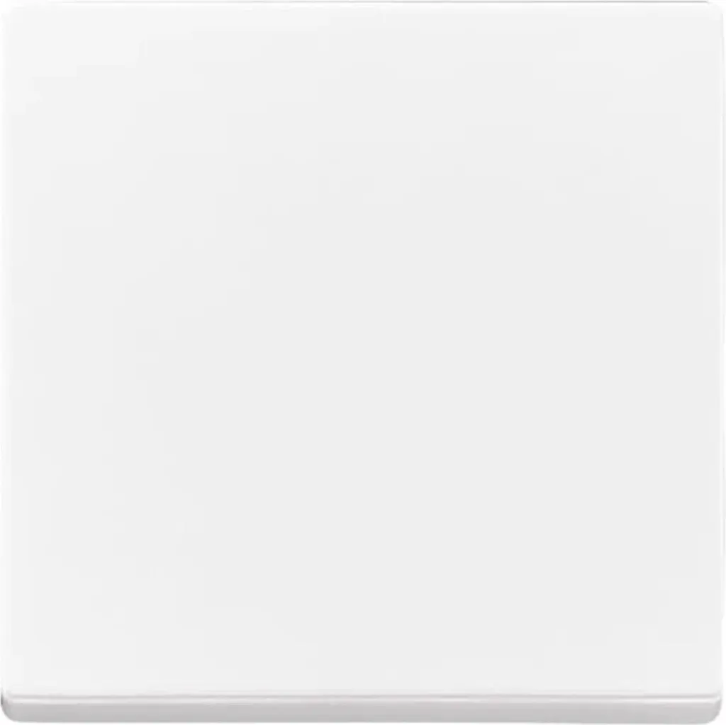 Module Busch-Jaeger 6735 BT-84 Simple Blanc Studio Haute Qualité Finition