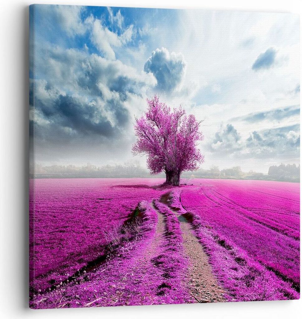 Bild auf Leinwand - Leinwandbild - Heidefeld Baum Wolken Landschaft - 40x40cm - Wand Bild - Wanddeko - Leinwanddruck - Bilder - Kunstdruck - Wandde...