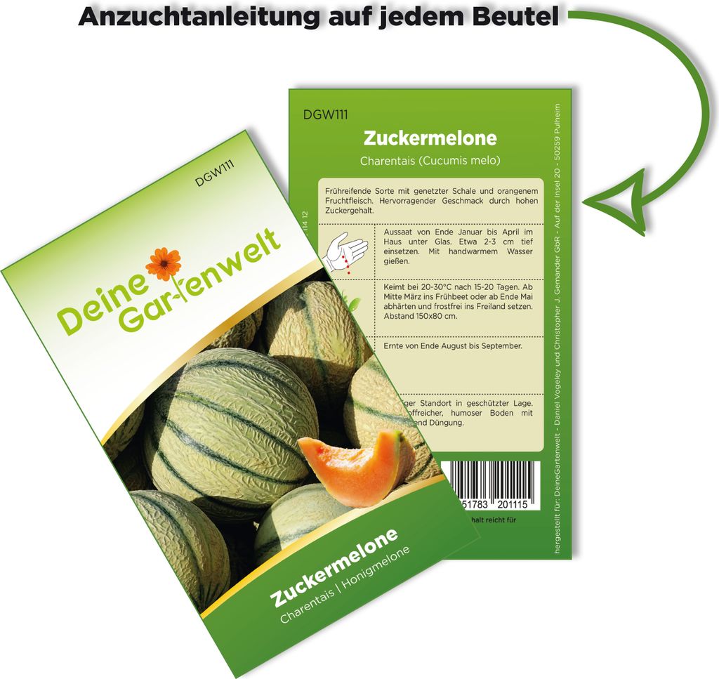 Zuckermelonen Charentais Samen - Cucumis melo - Produktbild 3