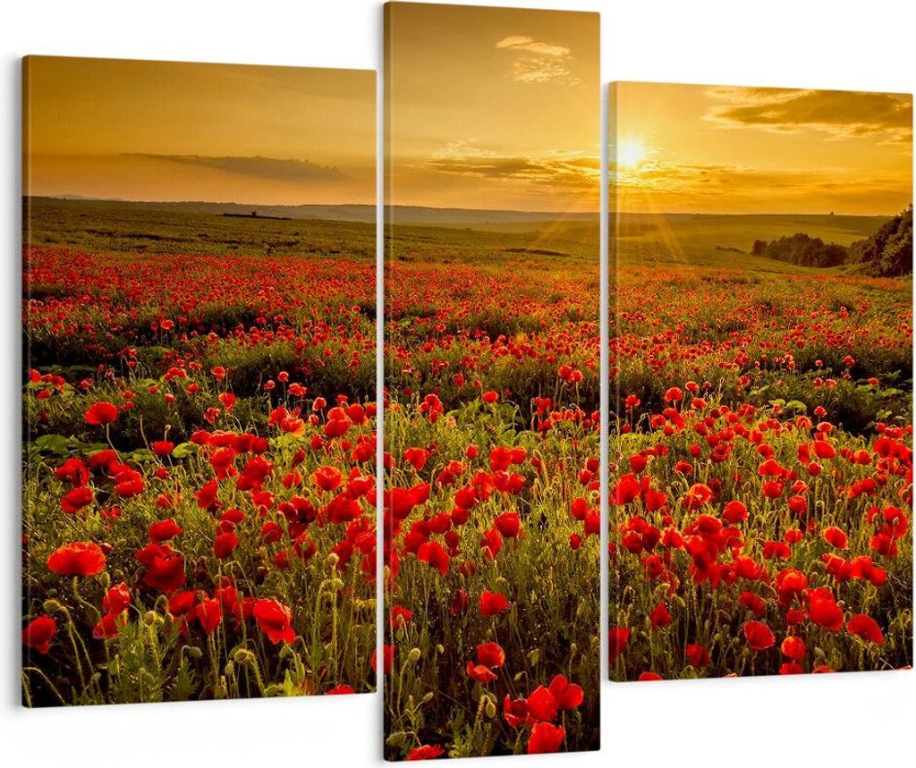 Bild auf Leinwand - Leinwandbild - Mohn Blume Wiese - 95x80cm - Wand Bild - Wanddeko - Wandbilder - Leinwanddruck - Bilder - Kunstdruck - Wanddekor...