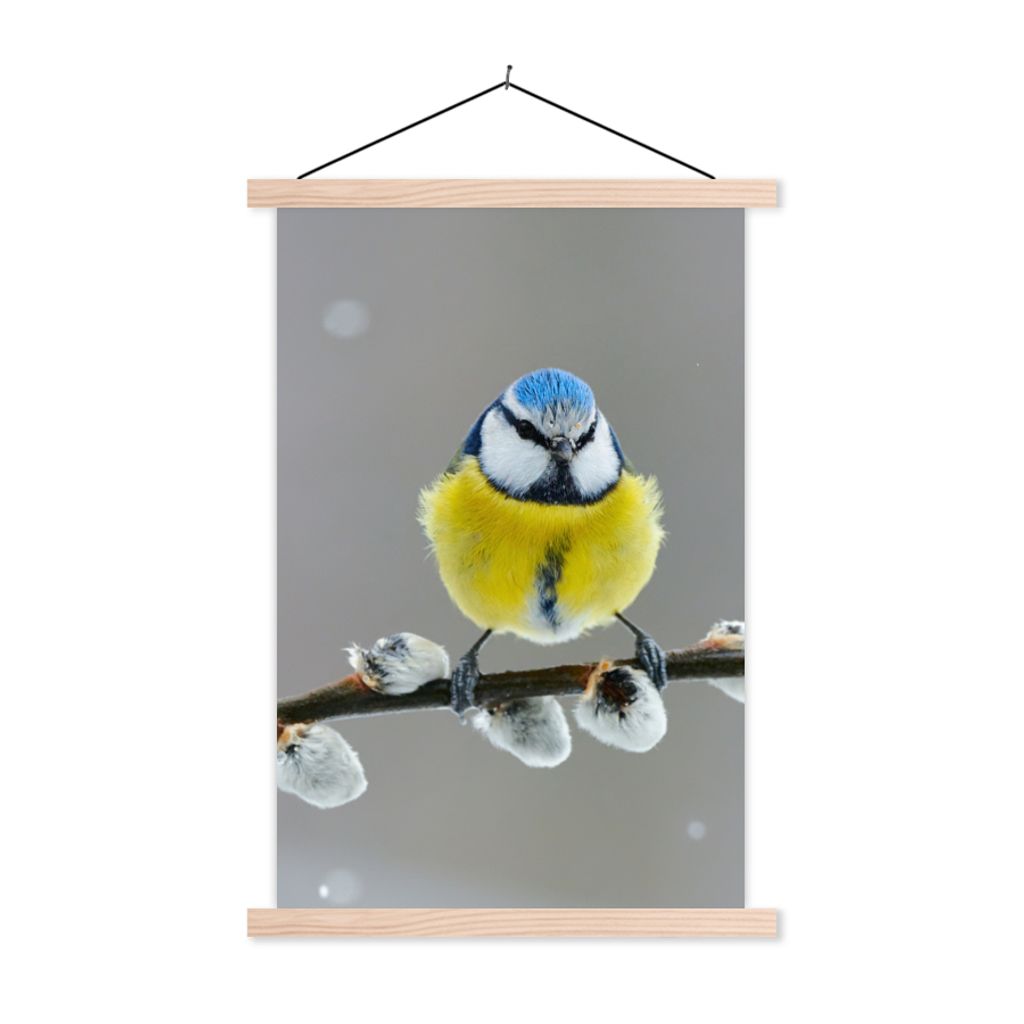 MuchoWow Textilposter Blaumeise - Vogel - Zweig - Gelb - Blau 40x60 cm mit holzfarbenen Rahmen - Poster