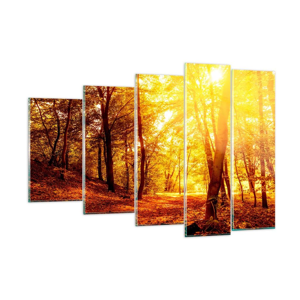 Bilder auf glas - Wald Baum Natur - 150x100cm - Glasbilder - Wandbilder - Kunstdruck - zum Aufhängen bereit - Wanddekoration aus Glas - Glas Bilde...