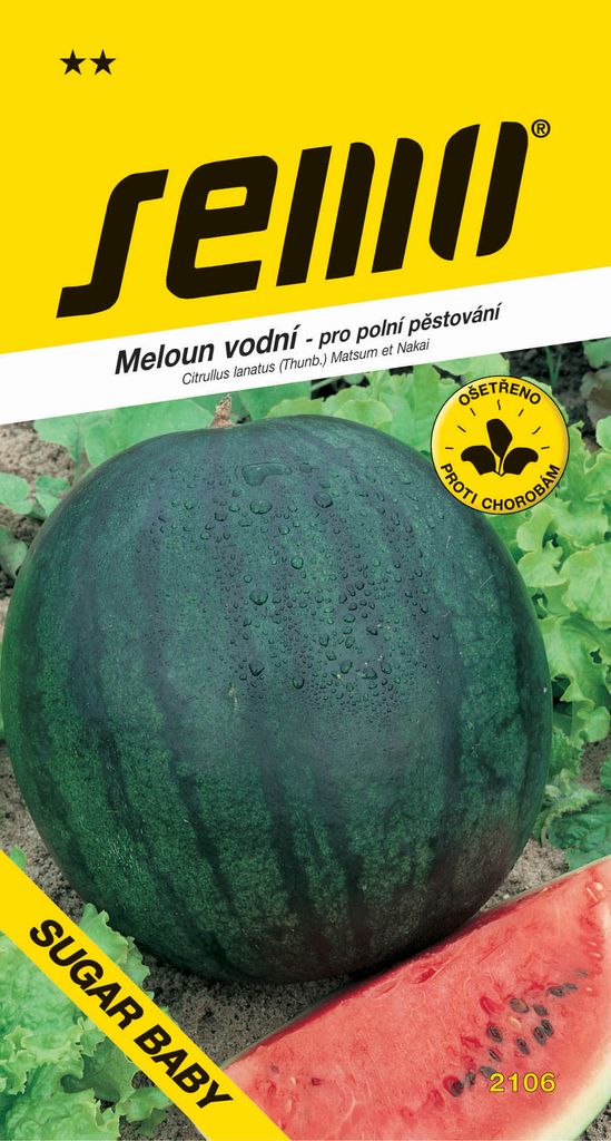 Semo WATERMELON ́SUGAR BABY ́