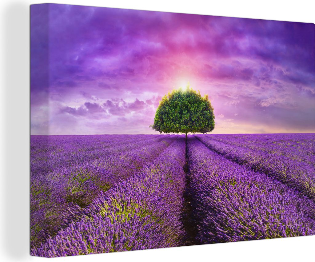 OneMillionCanvasses - Leinwandbilder - 140x90 cm, Lavendel - Baum - Lila - Wolken, Wandbilder Kunstdruck Wanddekoration - Foto auf Leinwand - Gem...
