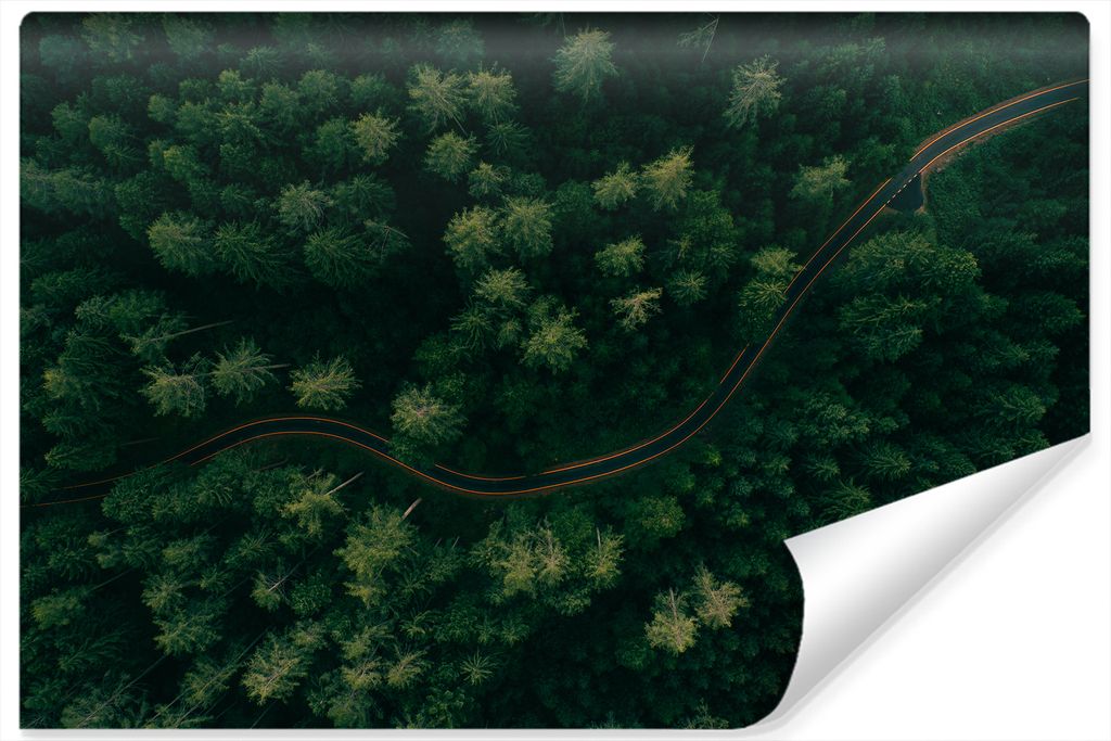 Muralo XXL Vlies FOTOTAPETE Weg WALD Aussicht Vogelperspektive 3D Effekt (B) 90 cm x (H) 60 cm Tapete Wandtapete WOHNZIMMER SCHLAFZIMMER 4572