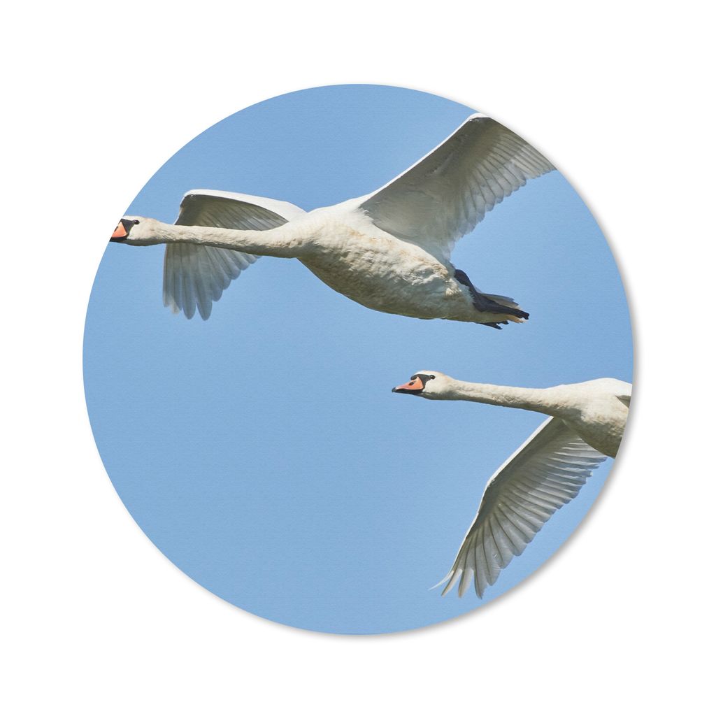 MuchoWow Mauspad Mousepad Schwan - Vogel - Himmel - Blau 20x20 cm - Mousepads - Maus Mat - Pad - Mausunterlage - Schreibtischmatte