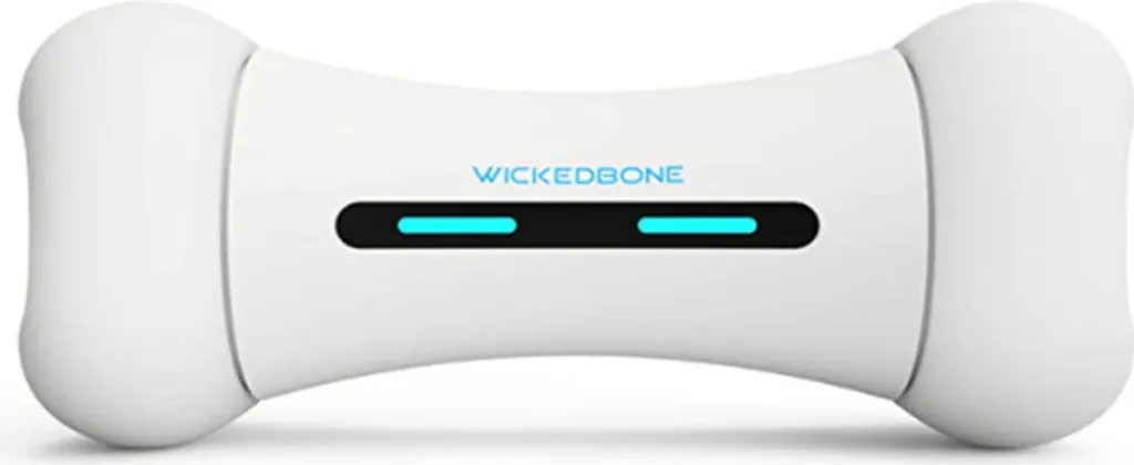 Stop Ennui : Wickedbone INF Jouet Interactif pour Chien Actif et Seul