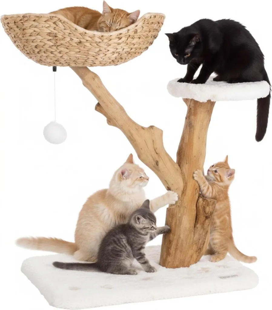 Arbre à griffer design avec panier pour protéger vos meubles avec style