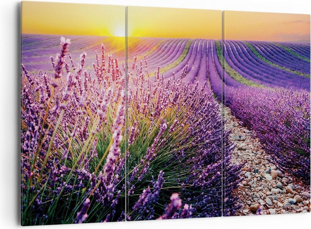 Bild auf Leinwand - Leinwandbild - 3 Teile - Feld Lavendel Sonne - 165x110cm - Wand Bild - Wanddeko - Wandbilder - Leinwanddruck - Bilder - Wanddek...