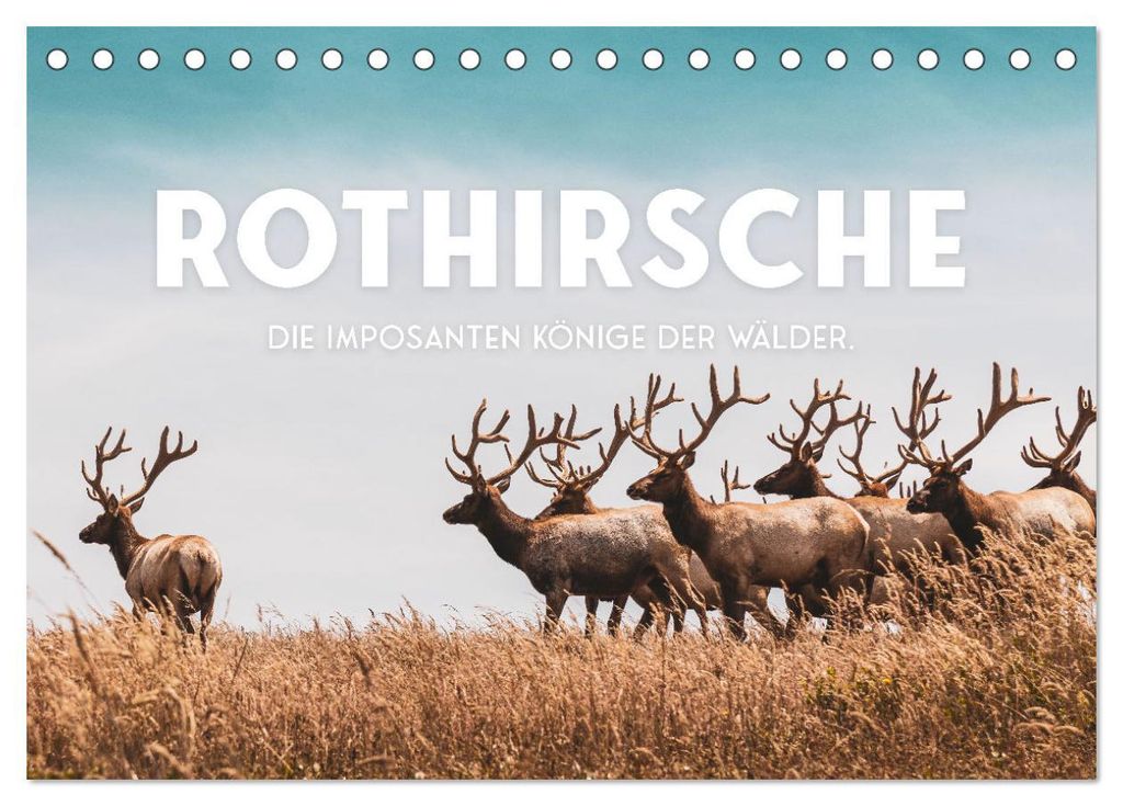 Rothirsche - Die imposanten Könige der Wälder. (Tischkalender 2027 DIN A5 quer), CALVENDO Monatskalender