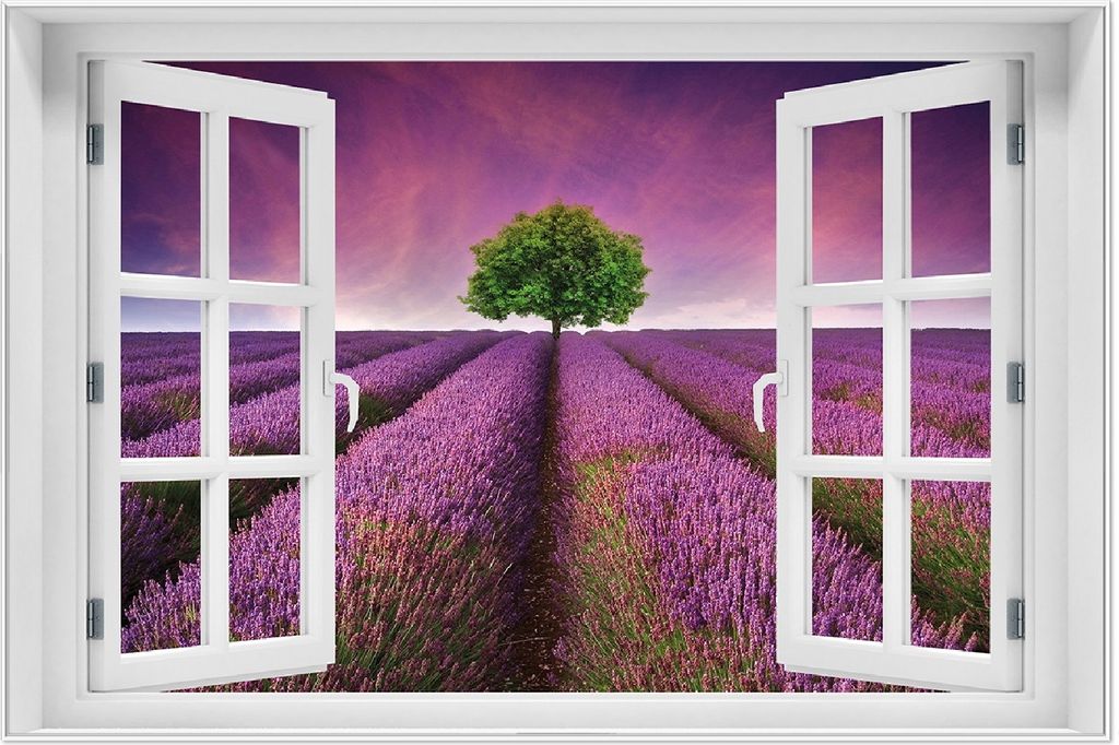 Wallario Wandbild mit Fenster-Illusion: Lila Blumenfeld, Größe: 61 x 91,5 cm, Poster mit weißem Aluminiumrahmen