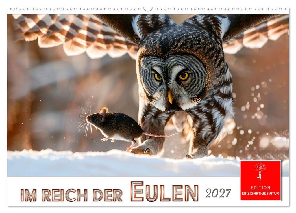 Im Reich der Eulen (Wandkalender 2027 DIN A2 quer), CALVENDO Monatskalender