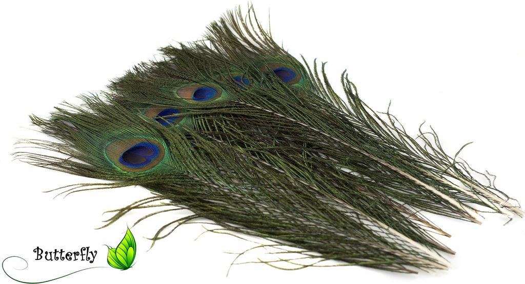 Pfauenfedern natur 30cm logo