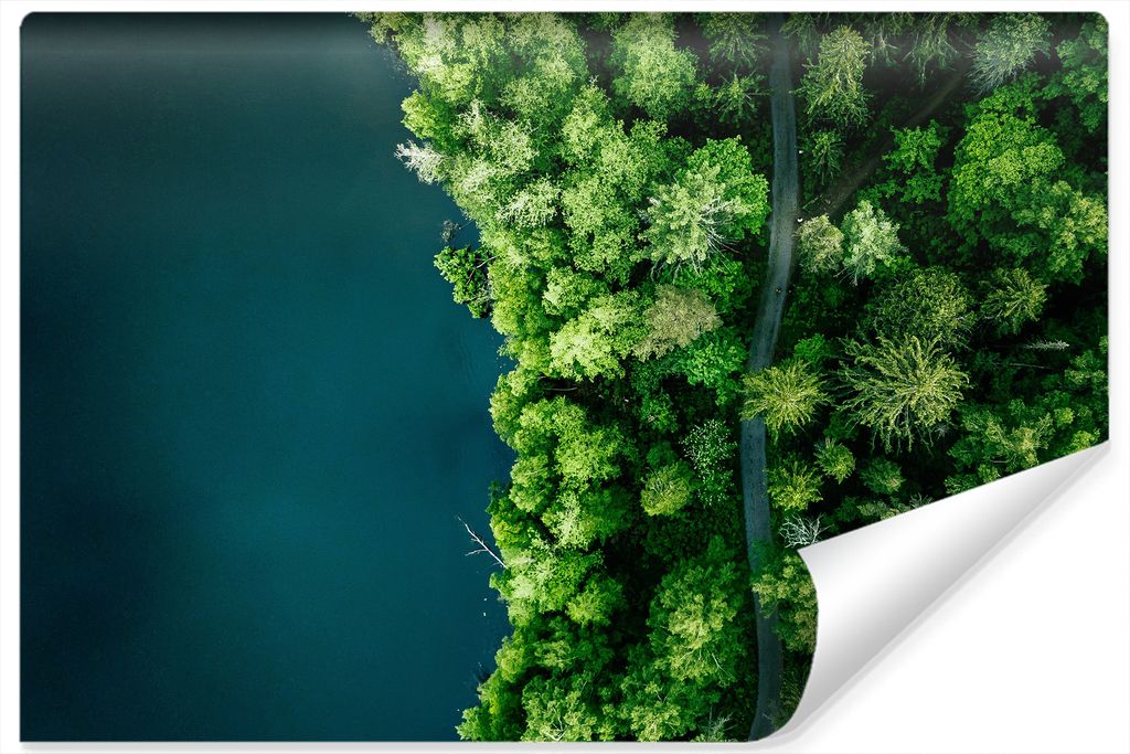 Muralo XXL Selbstklebende FOTOTAPETE See BaeUME Aussicht von oben 3D Effekt (B) 104 cm x (H) 70,5 cm Tapete Wandtapete WOHNZIMMER SCHLAFZIMMER 4599