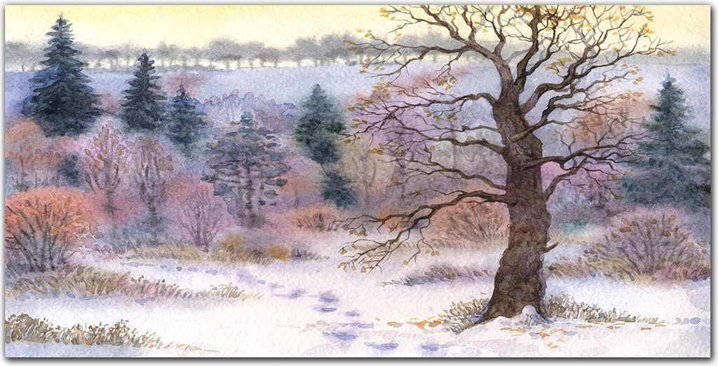 Coloray Bild aus Acryl 120 cm x 60 cm - Küche Wanddekoration Dekoration Wohnzimmer Gehärtetes Acryl Acrylblock mit Bild - Wald Winter Natur