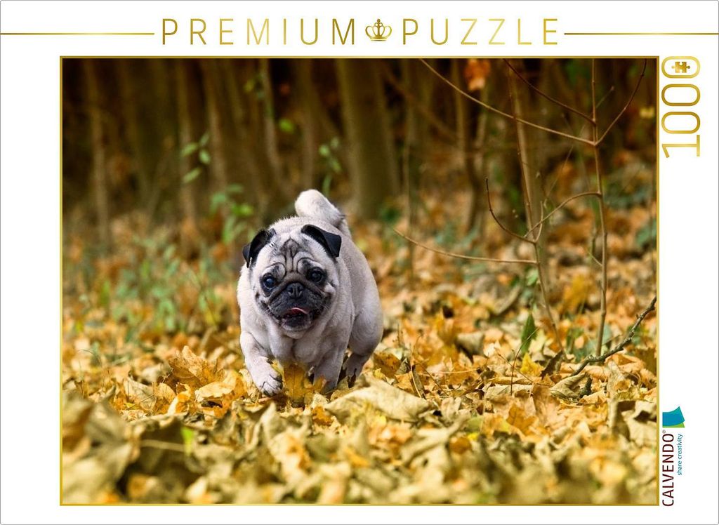 CALVENDO Puzzle Mops im herbstlichen Wald | 1000 Teile Lege-Größe 64x48cm Foto-Puzzle für glückliche Stunden