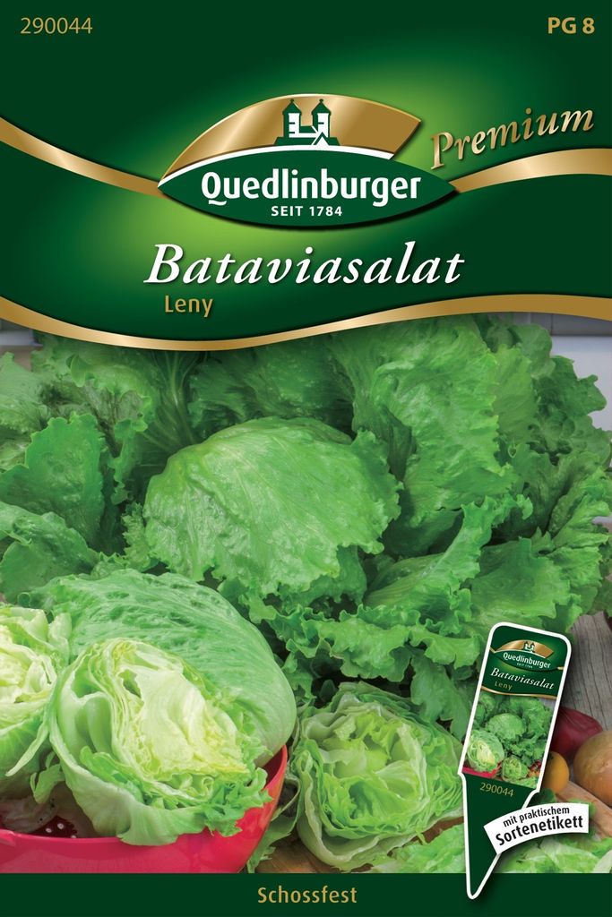 Quedlinburger Saatgut - Batavia-Salat Leny - Samen - 290044