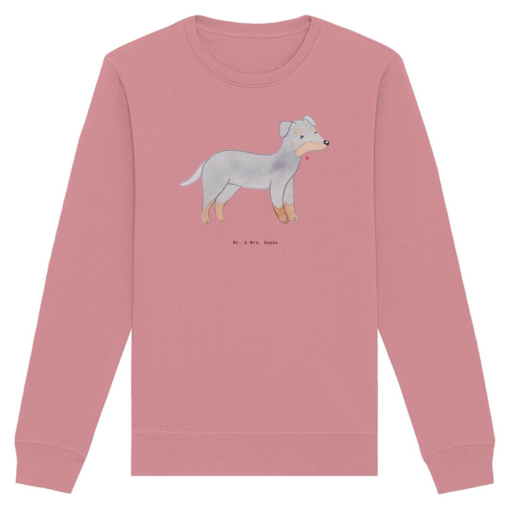 Mr. & Mrs. Panda Baumwoll Pullover Manchester Terrier Moment Größe XS - Canyon Pink - Geschenk, Pulli, Sweatshirt, Sweater, Organic Baumwolle