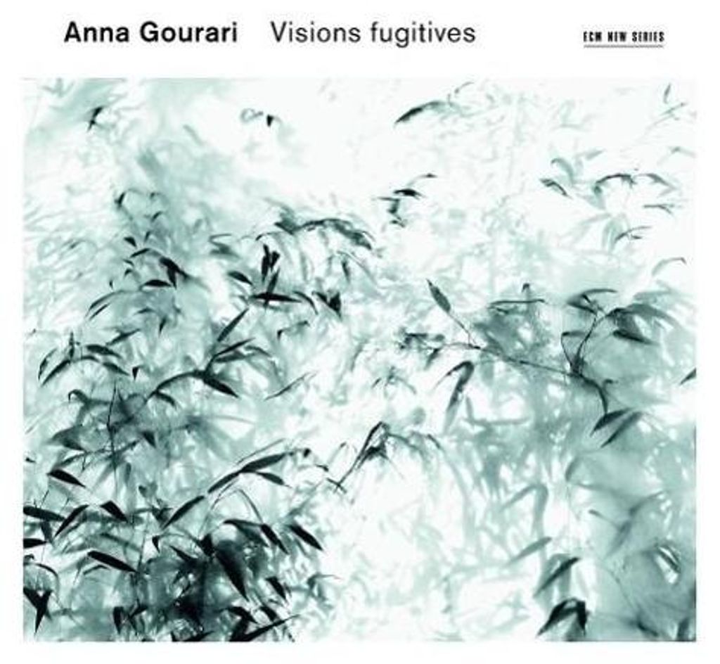 Visions fugitives