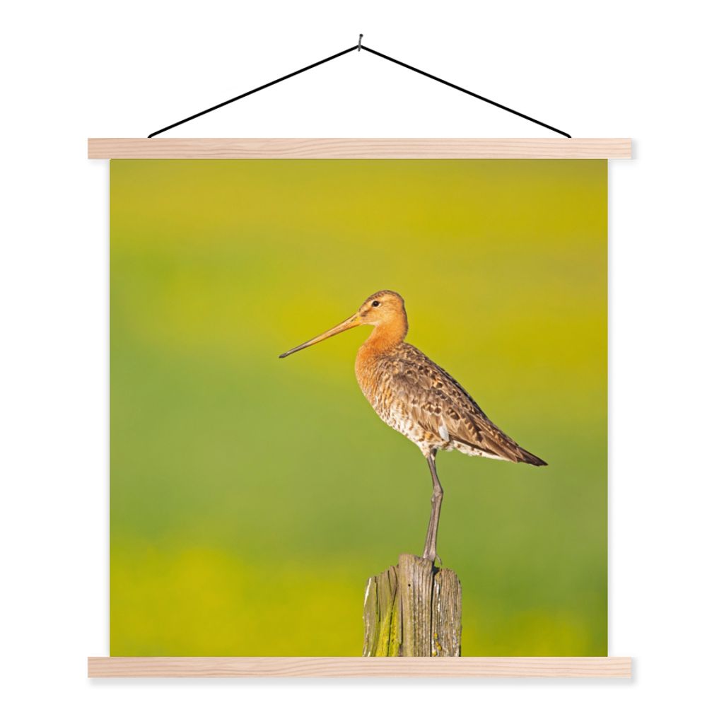 MuchoWow Textilposter Vogel - Tiere - Uferschnepfe - Pfahl - Grün 40x40 cm mit holzfarbenen Rahmen - Posterleiste