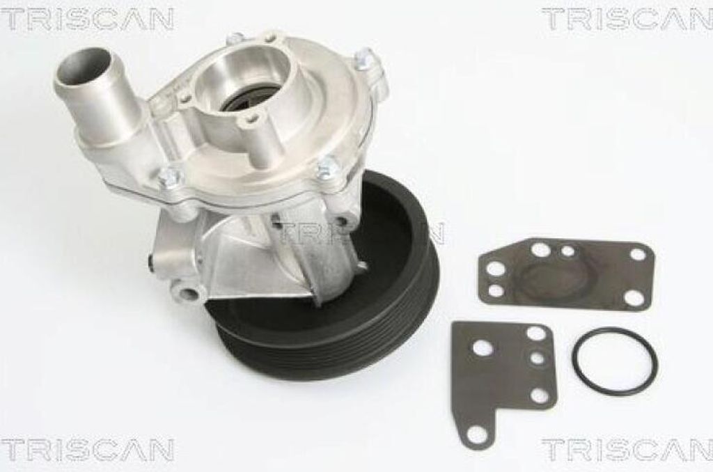 TRISCAN Wasserpumpe 8600 16022