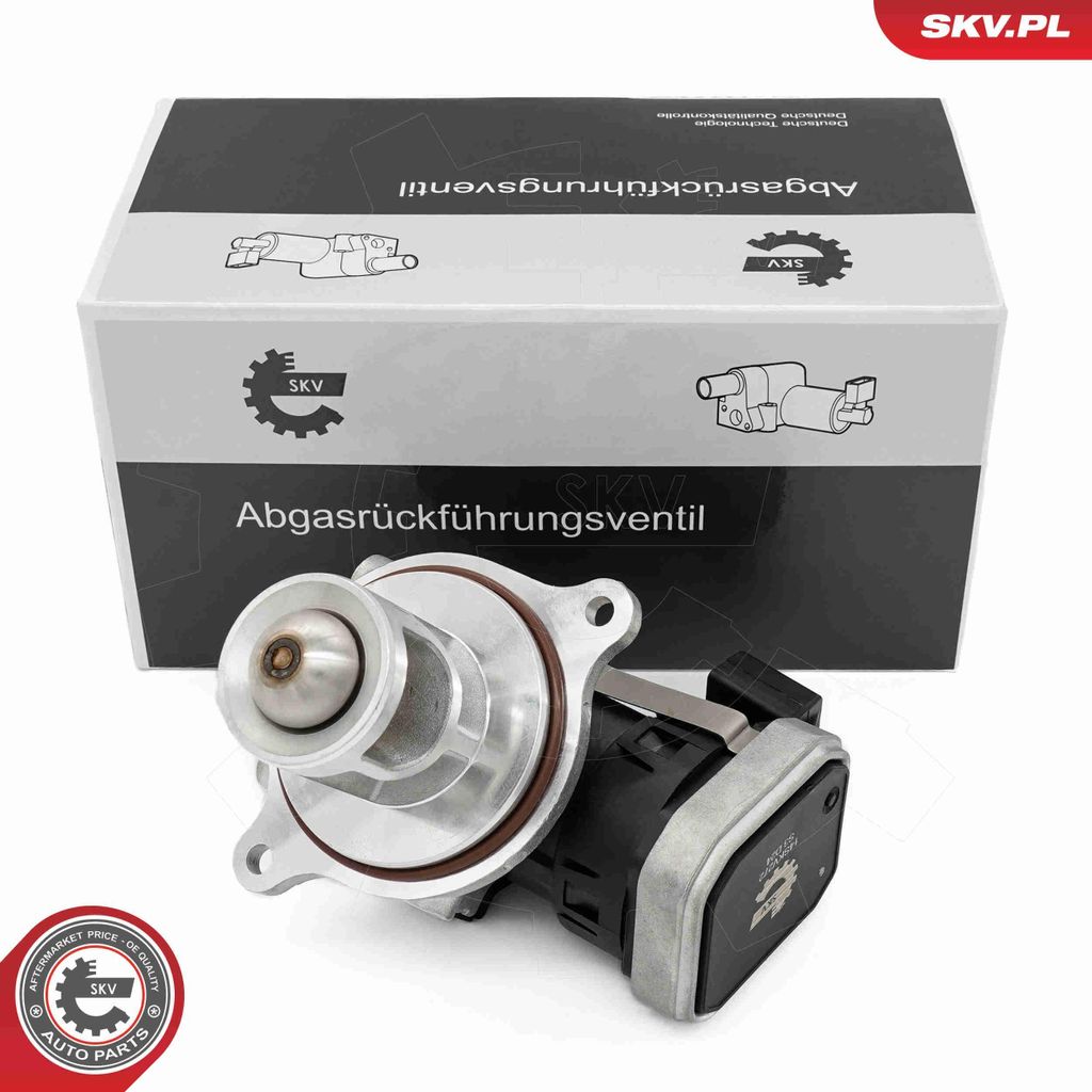 ESEN SKV 14SKV272 AGR-Ventil passend für MERCEDES-BENZ A-Klasse (W169) Abgasrückführungsventil