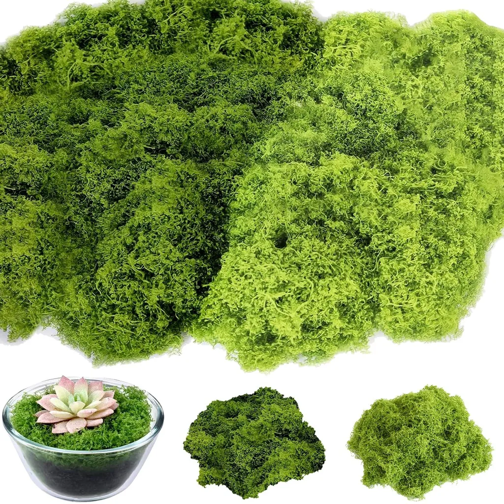100g Mousse de Lichen de Renne Naturelle pour Bricolage et DIY Créatif