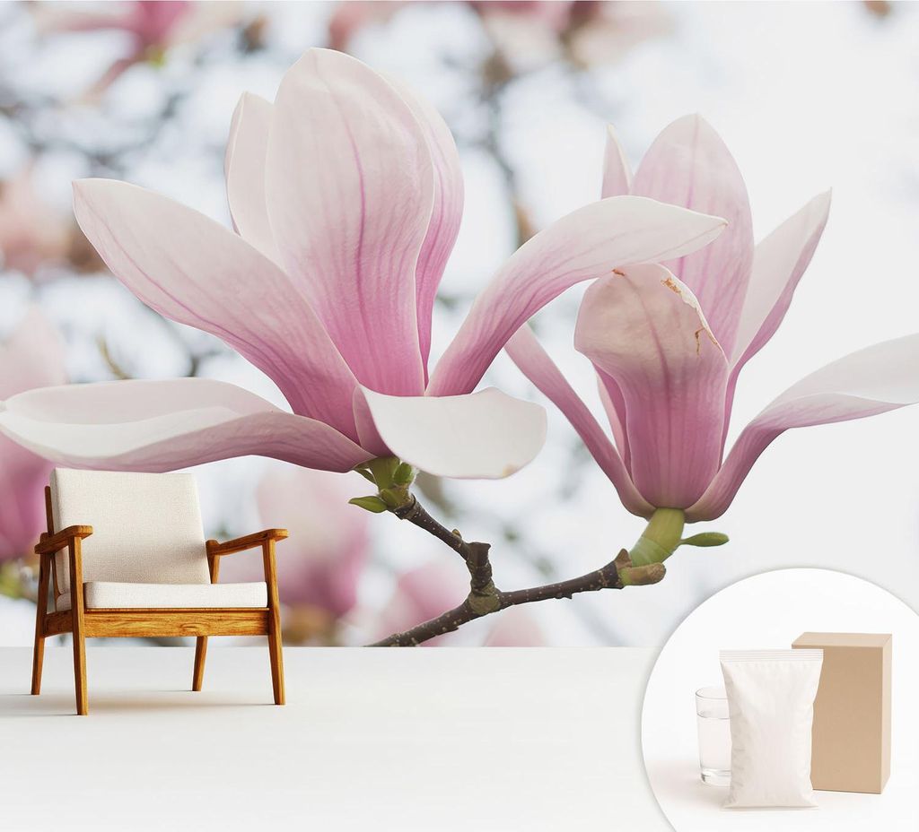 Fototapete - 312x219 cm - Tapete - Wandtapete - Wandbilder - Dekofolie - Tapete Folie - Wand - Dekoration - Wohnzimmer - Magnolienblüten