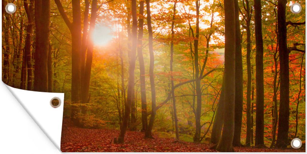 MuchoWow 60x30 cm Outdoor-Poster Gartendeko Sichtschutz Garten Poster für den Garten Licht - Baum - Blätter