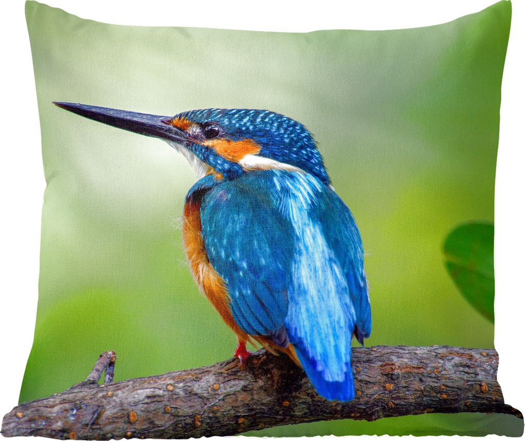 MuchoWow Zierkissen Sofakissen Wohnzimmer Dekokissen 60x60 cm Eisvogel - Zweig - Blau - Sitzfläche - Foto Polster