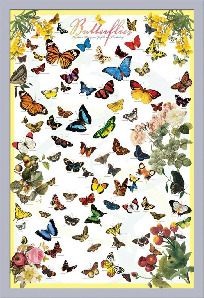 Offerta Poster Farfalle con Cornice Argento Shinsuke Maxi MDF Acrilico
