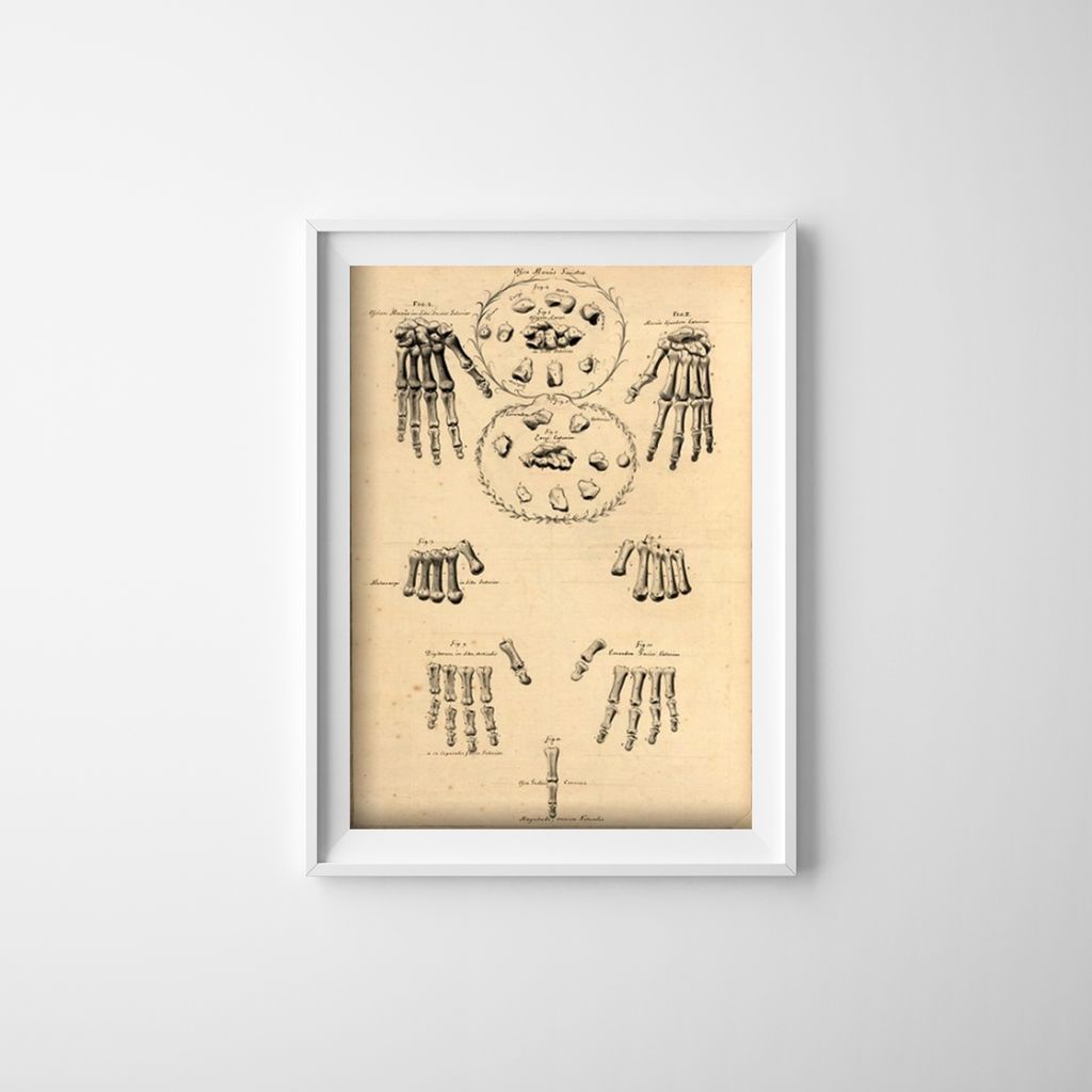 Poster - Canvas - Leinwand - 29,7 cm x 42 cm - Hände und Finger