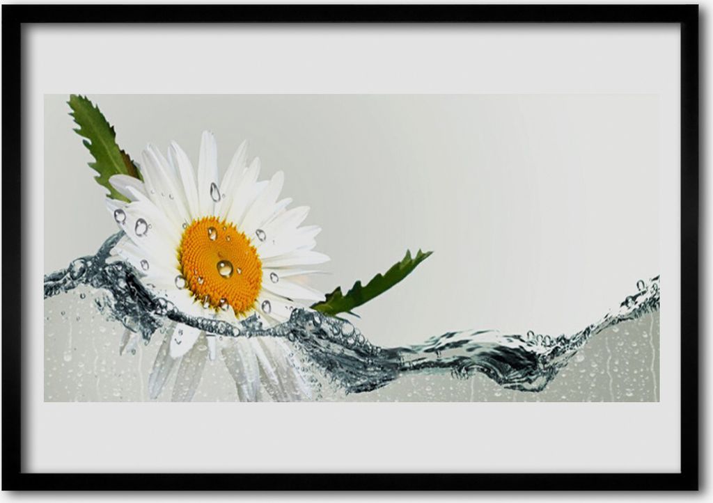 Bild 100x70 MDF-Rahmen Wandkunst Daisy Wasserpflanze