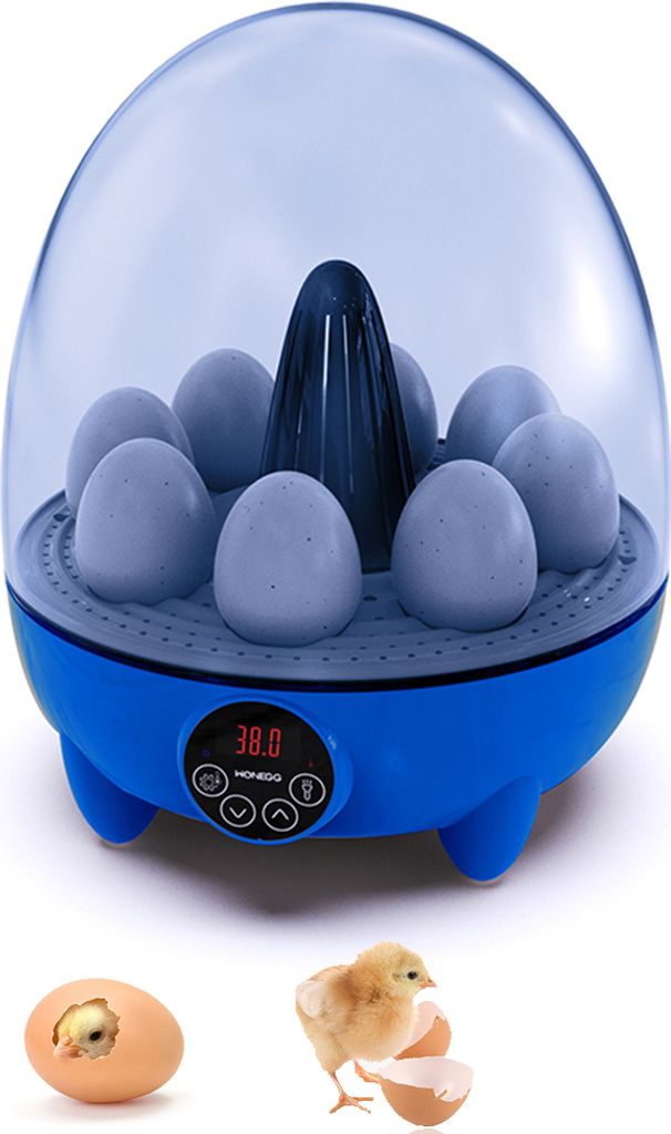 Inkubatoren fuer Bruteier, 8-Eier-Inkubator mit LED-Licht, Temperaturkontrolle, 360-Grad-Ansicht, Huehnerei-Inkubatoren fuer Ente, Gans, Wachtel, V...