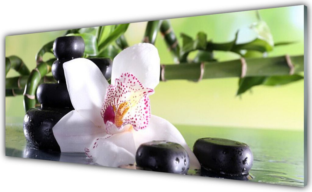 Küchenrückwand aus Glas 125x50cm Spritzschutz Bambusrohr Blume Steine Spa