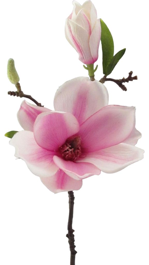 Kunstblume MAGNOLIE 37cm. Mit Magnolienblüte und Knospe. WEISS-LILA