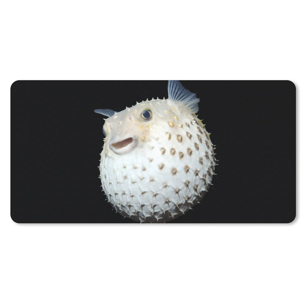 MuchoWow Mauspad Mousepad Fische - Meerestiere - Porträt 60x30 cm - Mousepads - Maus Mat - Pad - Mausunterlage