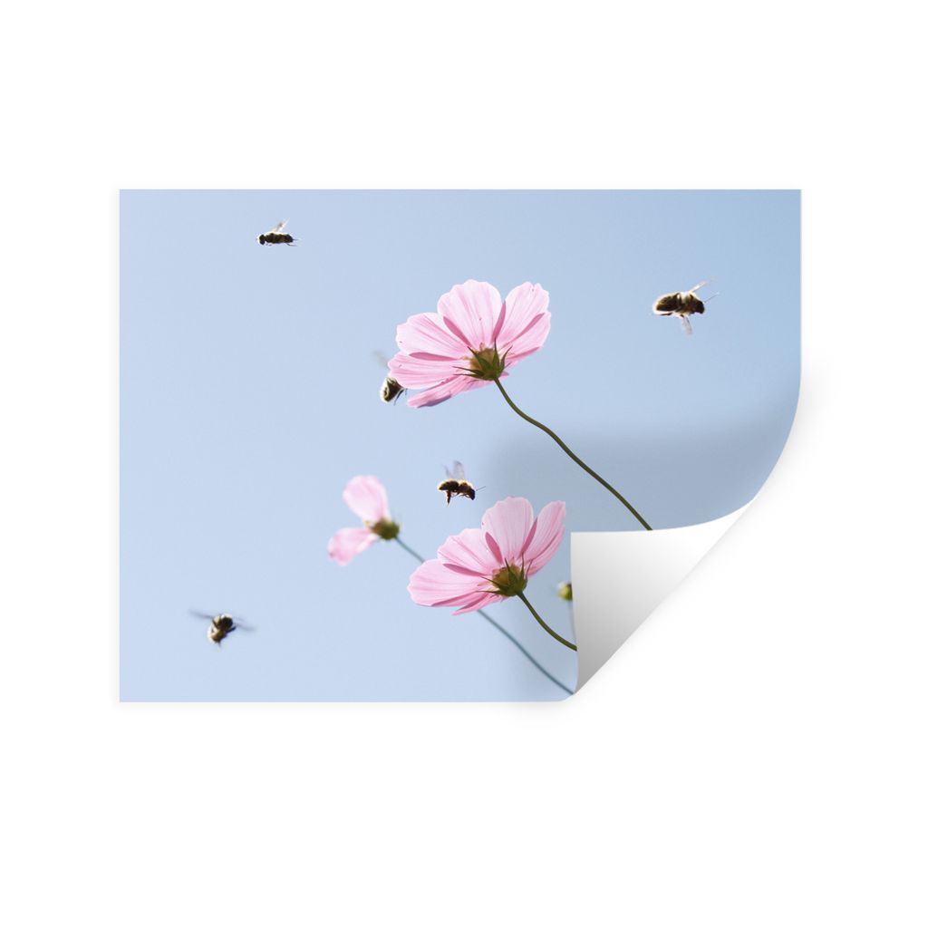 MuchoWow Wandtattoo Wandsticker Wandaufkleber Kosmosblüte mit fliegenden Bienen 160x120 cm Selbstklebend und Repositionierbar - Selbstklebend - ...