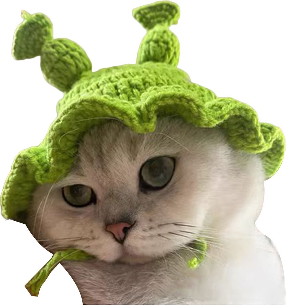 Gestrickte Haustiermütze, handgefertigt, gehäkelt, Frosch, Gott des Reichtums, Kostümzubehör, warme Wintermütze für kleine Katzen und Hunde