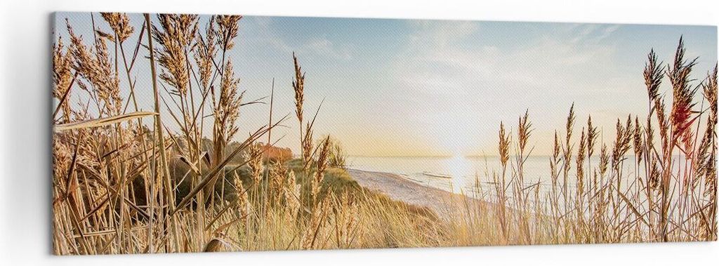 Bild auf Leinwand - Leinwandbild - Einteilig - Ähren Küste Sonne - 160x50cm - Wand Bild - Wanddeko - Wandbilder - Leinwanddruck - Bilder - Wandde...