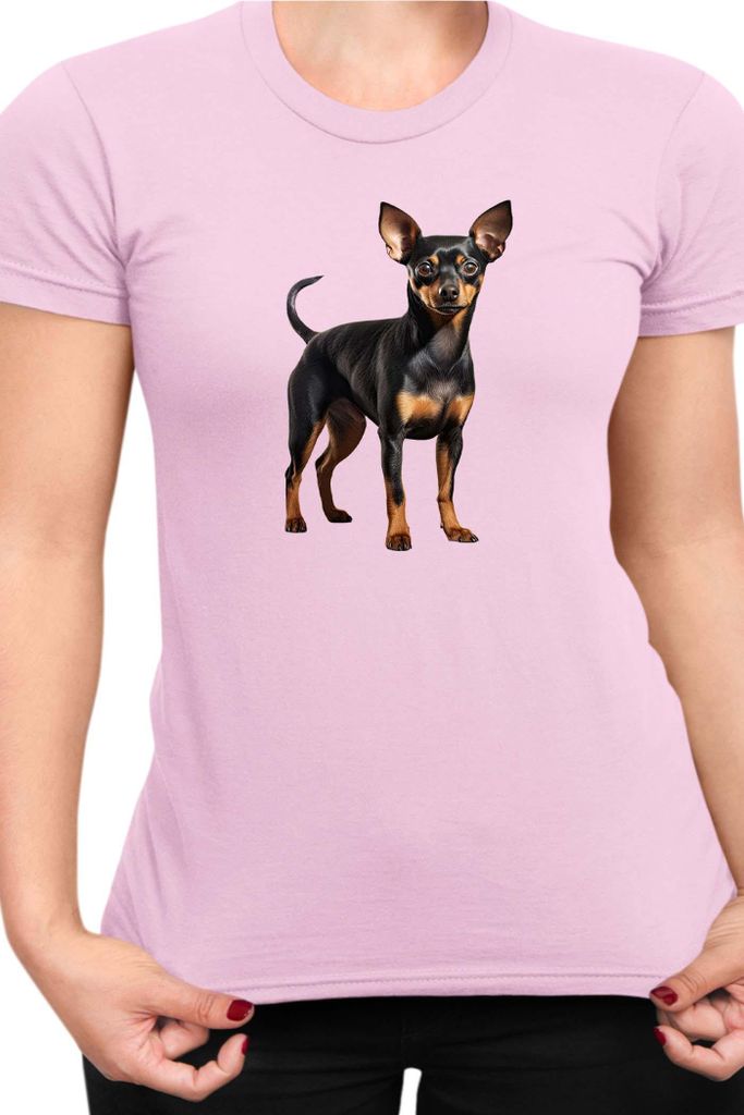 Damen T-Shirt Dogs Breeds Miniature Pinscher Dog Breed 005, Lady S / Hellrosa